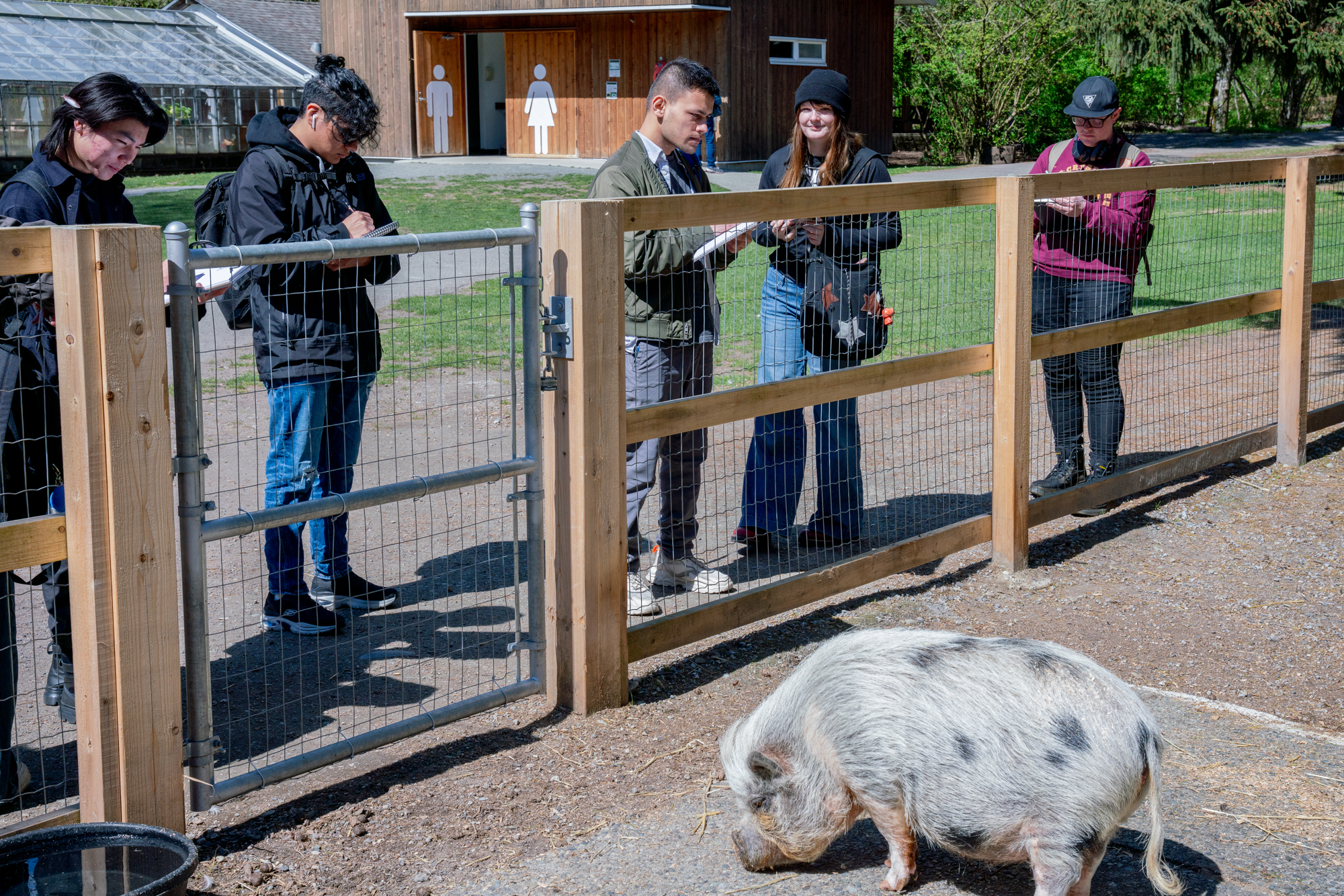 VanArts students sketching a pig